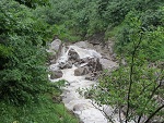 Ein üppig gefüllter Bergbach