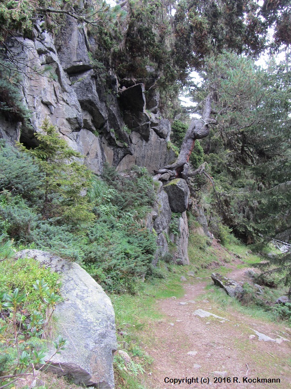 Wir wandern jetzt auf dem Panoramaweg (9) in Richtung Falkaunsalm