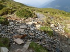 Auch der Panoramaweg ist bei Regen sehr nass und matschig