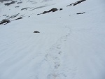 Eine Spur im Schnee weist den Weg abseits des normalen Wegs zur Similaunhütte
