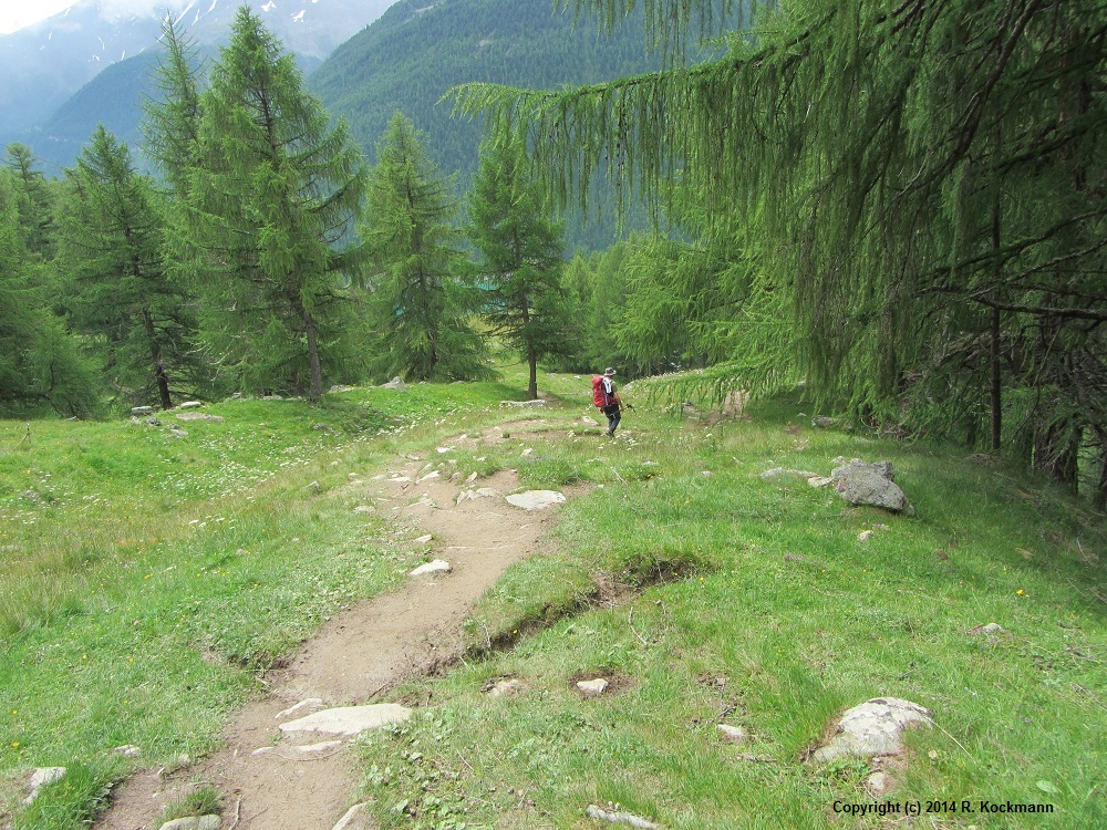 Unten wird die Vegetation langsam grn