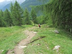 Unten wird die Vegetation langsam grün
