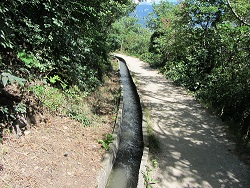 Am Algunder Waalweg