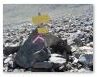 Bild 17