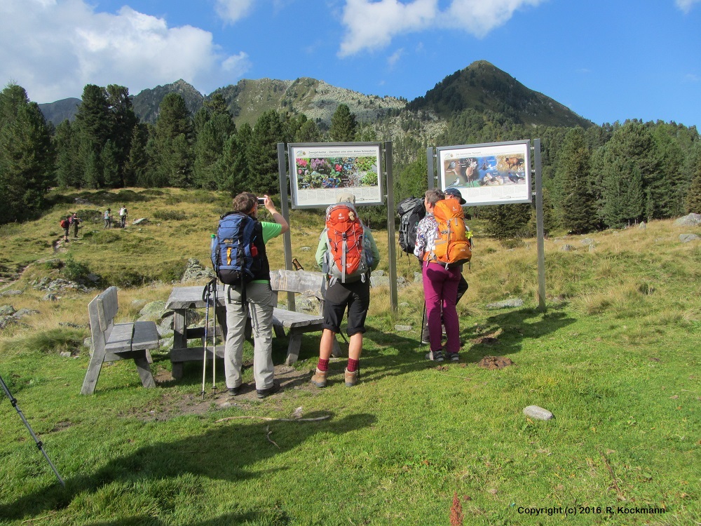 Zwei Schautafeln zur Tier- und Pflanzenwelt auf dem Knappenweg