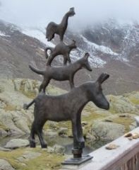 Bild 18